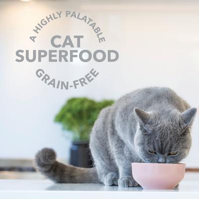 Show full view: Feline Natural Booster Lamb Green Tripe Freeze-Dried Cat Food Topper, 2-oz bag slide 4 of 10