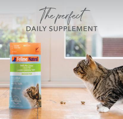 Show full view: Feline Natural Booster Lamb Green Tripe Freeze-Dried Cat Food Topper, 2-oz bag slide 5 of 10