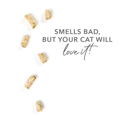 Show full view: Feline Natural Booster Lamb Green Tripe Freeze-Dried Cat Food Topper, 2-oz bag slide 6 of 10