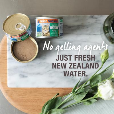 Show full view: Feline Natural Lamb Feast Grain-Free Canned Cat Food, 3-oz, case of 24 slide 4 of 11