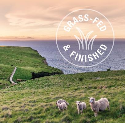 Show full view: Feline Natural Lamb & King Salmon Grain-Free Wet Cat Food, 3-oz pouch, case of 12 slide 8 of 9