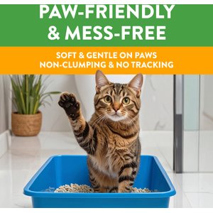 Feline Pine Original Non-Clumping Wood Cat Litter, 20-lb bag
