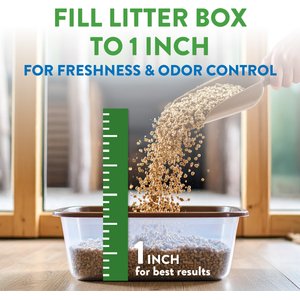 Feline Pine Original Non-Clumping Wood Cat Litter, 20-lb bag