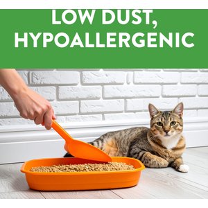 Feline Pine Original Non-Clumping Wood Cat Litter, 20-lb bag