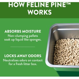 Feline Pine Original Non-Clumping Wood Cat Litter, 20-lb bag