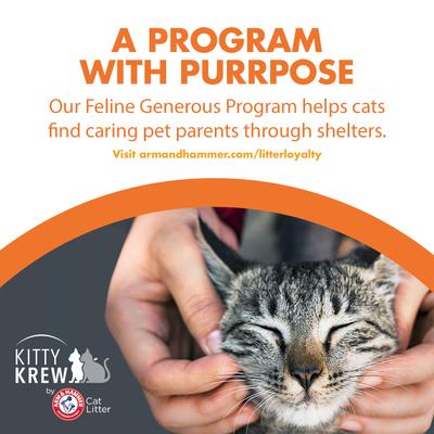 Show full view: Feline Pine Original Non-Clumping Wood Cat Litter, 20-lb bag slide 10 of 13