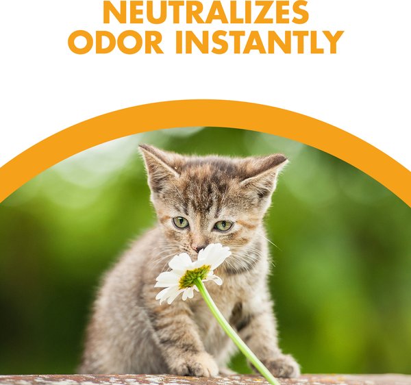 Feline Pine Original Non-Clumping Wood Cat Litter