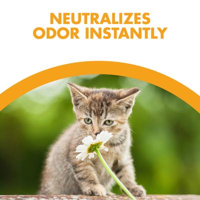 Show full view: Feline Pine Original Non-Clumping Wood Cat Litter, 7-lb bag slide 5 of 13