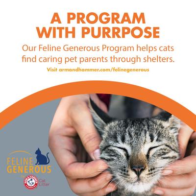 Show full view: Feline Pine Platinum Natural Pine Cat Litter, 18-lb bag slide 10 of 12