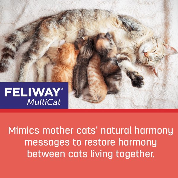 Show full view: Feliway MultiCat 30 Day Starter Kit Calming Diffuser for Cats, 1 count slide 7 of 9