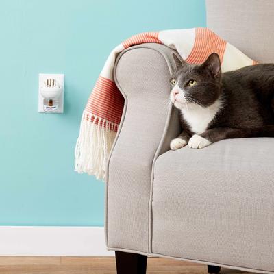 Show full view: Feliway MultiCat Calming Diffuser Refill for Cats, 30 day, 2 count slide 8 of 9