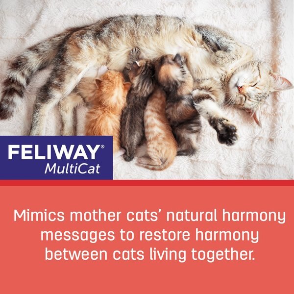 Picture of FELIWAY MultiCat Calming Diffuser Refill for Cats, 30 day, 6 count ...