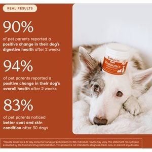 Fera Pets Probiotics with Organic Prebiotics Powder 12 Strain Digestive Health Supplement for Dogs & Cats, 2.56-oz jar