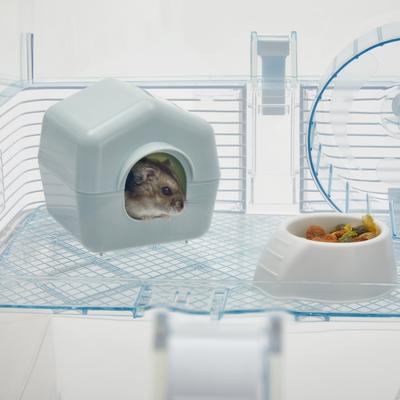 Show full view: Ferplast Duna Space Two-Story Gerbil Cage slide 5 of 10