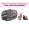 Show in main carousel: Ferplast Jet Value Cat & Dog Carrier, Fuchsia, X-Small slide 6 of 7