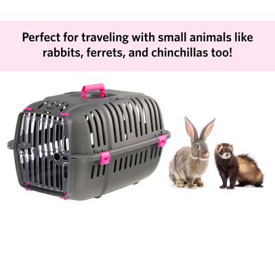 Show full view: Ferplast Jet Value Cat & Dog Carrier, Fuchsia, X-Small slide 6 of 7
