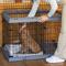 Show in main carousel: Ferplast Superior Hybrid ECO Dog Crate & Playpen, Gray, 36-in slide 10 of 12