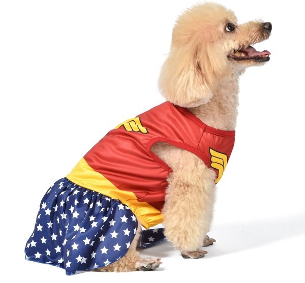 Fetch For Pets DC Comics Wonderwoman Halloween Dog Costume