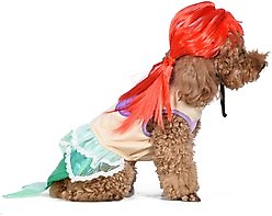 Fetch For Pets Disney Halloween Princess Ariel Dog Costume, X-Large