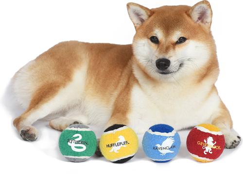 Show full view: Fetch For Pets Harry Potter 4PK Hogwarts Pride Tennis Ball Dog Toy slide 5 of 7