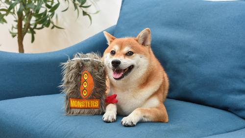 Show full view: Fetch For Pets Harry Potter Monster Book Crinkle Dog Toy slide 4 of 5