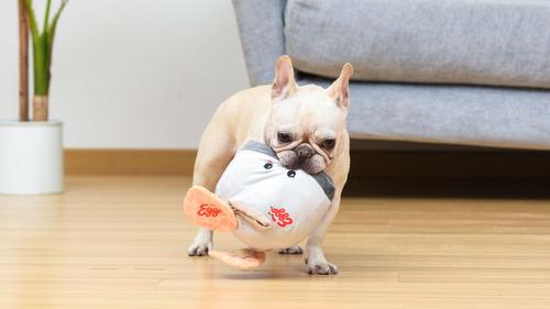 Show full view: Fetch For Pets Kellogg's Eggo Happy Toaster Burrow Plush Squeaky Dog Toy slide 6 of 7