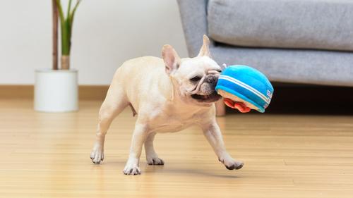 Show full view: Fetch For Pets Kellogg's Rice Krispies Bowl Plush Figure Squeaky Dog Toy, Small slide 5 of 5