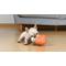 Show in main carousel: Fetch For Pets Minecraft Alex Figure Plush Squeaky Dog Toy, Large slide 5 of 5