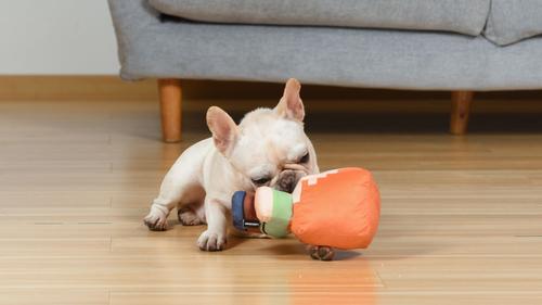 Show full view: Fetch For Pets Minecraft Alex Figure Plush Squeaky Dog Toy, Large slide 5 of 5