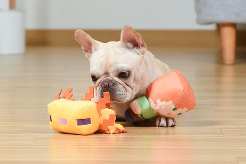 Show full view: Fetch For Pets Minecraft Alex & Gold Axolotl Figure Plush Squeaky Dog Toy, Small, 2 count slide 5 of 5