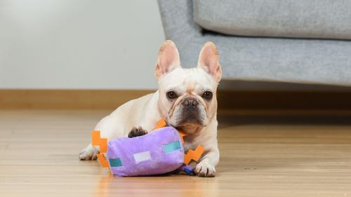 Show full view: Fetch For Pets Minecraft Blue Axolotl Figure Plush Squeaky Dog Toy, Large slide 5 of 5