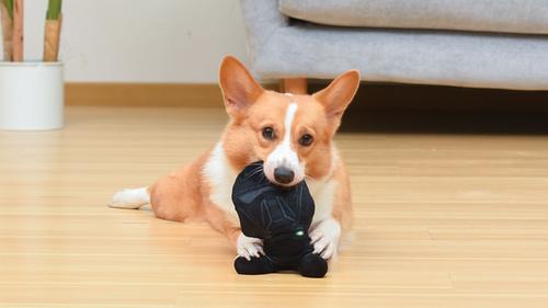 Show full view: Fetch For Pets Star Wars Black Storm Trooper Plush Figure Dog Toy, Small slide 5 of 5