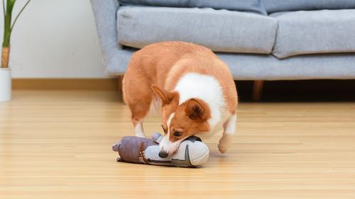 Show full view: Fetch For Pets Star Wars Mandalorian Mando Bobo Plush Squeaky Dog Toy, Small slide 5 of 5