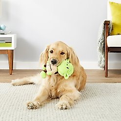 Fetch For Pets Star Wars Yoda Squeaky Plush Dog Toy, 9-in slide 2 of 4