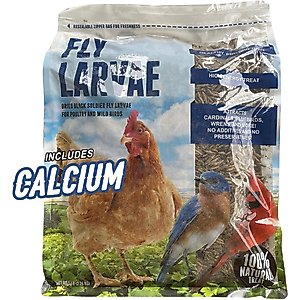 Fickle Fowl Bag Fly Larvae Farm Treat, 5-lb bag