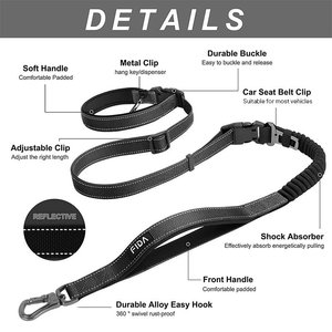 FIDA 6-IN-1 Feature Dog Leash, 6.5-ft long, 1-in wide, Black