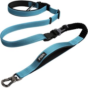 FIDA 6-IN-1 Feature Dog Leash, 6.5-ft long, 1-in wide, Blue