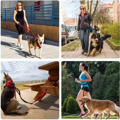 FIDA 6-IN-1 Feature Dog Leash, 6.5-ft long, 1-in wide, Red slide 2 of 7