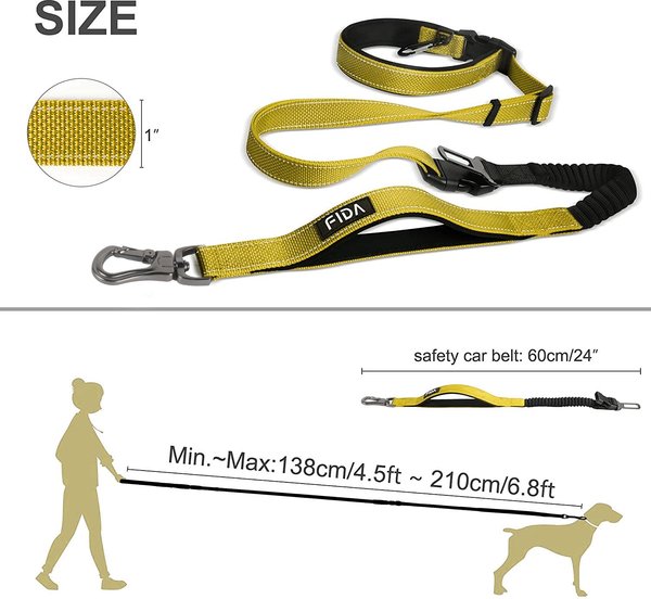 FIDA 6-IN-1 Feature Dog Leash, 6.5-ft long, 1-in wide