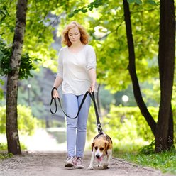 FIDA Leash with Integrated Traffic Handles Dog Leash, 5-ft long, 1-in wide, Black slide 2 of 7
