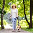 Show in main carousel: FIDA Leash with Integrated Traffic Handles Dog Leash, 5-ft long, 1-in wide, Black slide 7 of 8