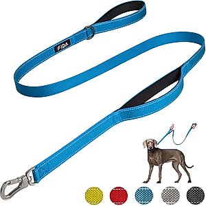 FIDA Leash with Integrated Traffic Handles Dog Leash, 5-ft long, 1-in wide, Blue