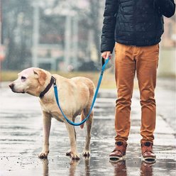 FIDA Leash with Integrated Traffic Handles Dog Leash, 5-ft long, 1-in wide, Blue slide 2 of 6