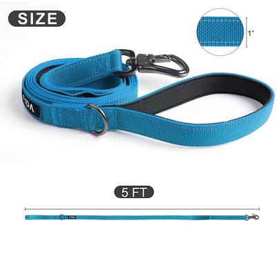 Show full view: FIDA Leash with Integrated Traffic Handles Dog Leash, 5-ft long, 1-in wide, Blue slide 5 of 7