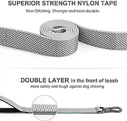 FIDA Leash with Integrated Traffic Handles Dog Leash, 5-ft long, 1-in wide, Grey slide 2 of 6