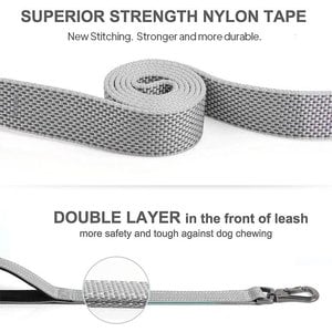 FIDA Leash with Integrated Traffic Handles Dog Leash, 5-ft long, 1-in wide, Grey