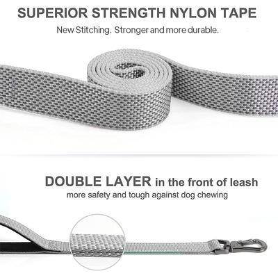 Show full view: FIDA Leash with Integrated Traffic Handles Dog Leash, 5-ft long, 1-in wide, Grey slide 4 of 8