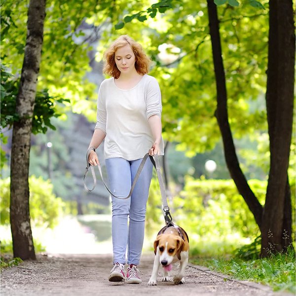 Show full view: FIDA Leash with Integrated Traffic Handles Dog Leash, 5-ft long, 1-in wide, Grey slide 6 of 7