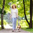 Show in main carousel: FIDA Leash with Integrated Traffic Handles Dog Leash, 5-ft long, 1-in wide, Grey slide 6 of 7