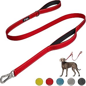 FIDA Leash with Integrated Traffic Handles Dog Leash, 5-ft long, 1-in wide, Red